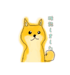 絵が苦手な人が描いた動物スタンプ（個別スタンプ：5）