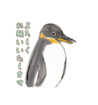 絵が苦手な人が描いた動物スタンプ（個別スタンプ：8）