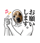 うちのマロンさんが大渋滞（個別スタンプ：15）