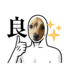 うちのマロンさんが大渋滞（個別スタンプ：19）