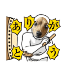うちのマロンさんが大渋滞（個別スタンプ：20）
