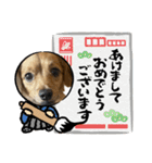 うちのマロンさんが大渋滞（個別スタンプ：29）