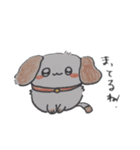 猫犬イラスト1（個別スタンプ：3）