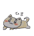 猫犬イラスト1（個別スタンプ：13）