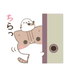 飛び出す！毎日使える♪ねことシマエナガ（個別スタンプ：16）