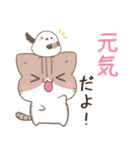 飛び出す！毎日使える♪ねことシマエナガ（個別スタンプ：20）