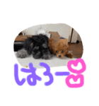 Ruru♡Rara（個別スタンプ：2）