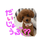 Ruru♡Rara（個別スタンプ：5）