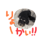 Ruru♡Rara（個別スタンプ：6）