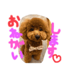 Ruru♡Rara（個別スタンプ：7）