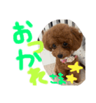 Ruru♡Rara（個別スタンプ：9）