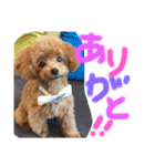 Ruru♡Rara（個別スタンプ：10）