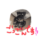 Ruru♡Rara（個別スタンプ：16）