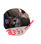 Ruru♡Rara（個別スタンプ：18）