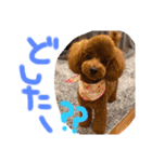 Ruru♡Rara（個別スタンプ：28）