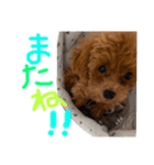 Ruru♡Rara（個別スタンプ：29）