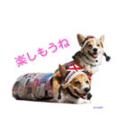コーギーとその仲間達4（個別スタンプ：23）