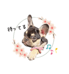 ★かわいいうちの子スタンプNo.3（個別スタンプ：1）