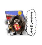 CPスタンプ♡♡♡（個別スタンプ：27）