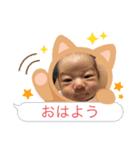 望愛だよ（個別スタンプ：1）