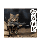 毎日使える♡戦場ねこ（個別スタンプ：9）