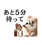 ポメの非日常スタンプ（個別スタンプ：8）