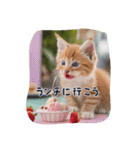 仔猫の冒険（個別スタンプ：13）