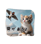 仔猫の冒険（個別スタンプ：16）