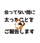 会ってない間に○○ことをご報告します（個別スタンプ：1）