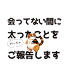 会ってない間に○○ことをご報告します（個別スタンプ：2）