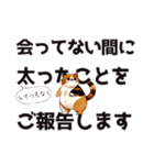 会ってない間に○○ことをご報告します（個別スタンプ：3）