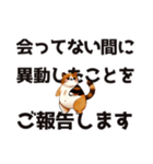 会ってない間に○○ことをご報告します（個別スタンプ：12）