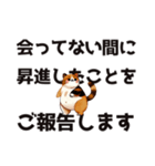 会ってない間に○○ことをご報告します（個別スタンプ：13）