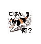 ねことこねこと日常と（個別スタンプ：13）