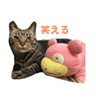 天とほののスタンプ3（個別スタンプ：19）