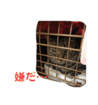 天とほののスタンプ3（個別スタンプ：30）