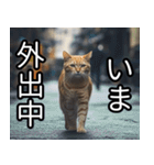 かわいい猫の待ち合わせ(連絡・報告・外出)（個別スタンプ：4）