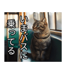 かわいい猫の待ち合わせ(連絡・報告・外出)（個別スタンプ：10）