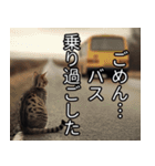 かわいい猫の待ち合わせ(連絡・報告・外出)（個別スタンプ：11）