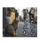 かわいい猫の待ち合わせ(連絡・報告・外出)（個別スタンプ：15）