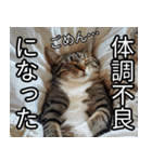 かわいい猫の待ち合わせ(連絡・報告・外出)（個別スタンプ：21）