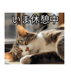 かわいい猫の待ち合わせ(連絡・報告・外出)（個別スタンプ：23）