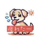 ドット犬のほのぼのスタンプ（個別スタンプ：22）