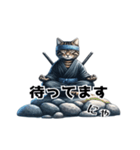 日常で使えるリアルな猫の忍者スタンプ（個別スタンプ：4）