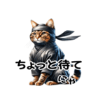 日常で使えるリアルな猫の忍者スタンプ（個別スタンプ：8）