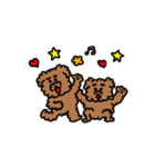 トイプードル  日常使い（個別スタンプ：20）