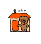 トイプードル  日常使い（個別スタンプ：34）