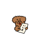 トイプードル  日常使い（個別スタンプ：40）