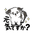 新・B＆W シーズー犬【いつもの言葉】（個別スタンプ：6）