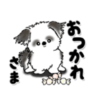 新・B＆W シーズー犬【いつもの言葉】（個別スタンプ：10）